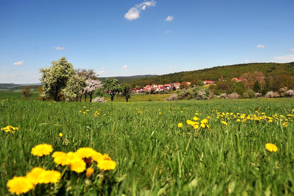 Landhotel Zur Gruenen Kutte Bernshausen Dış mekan fotoğraf