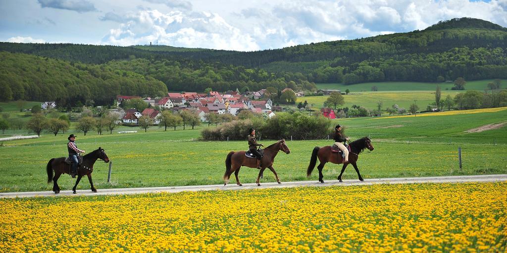 Landhotel Zur Gruenen Kutte Bernshausen Dış mekan fotoğraf