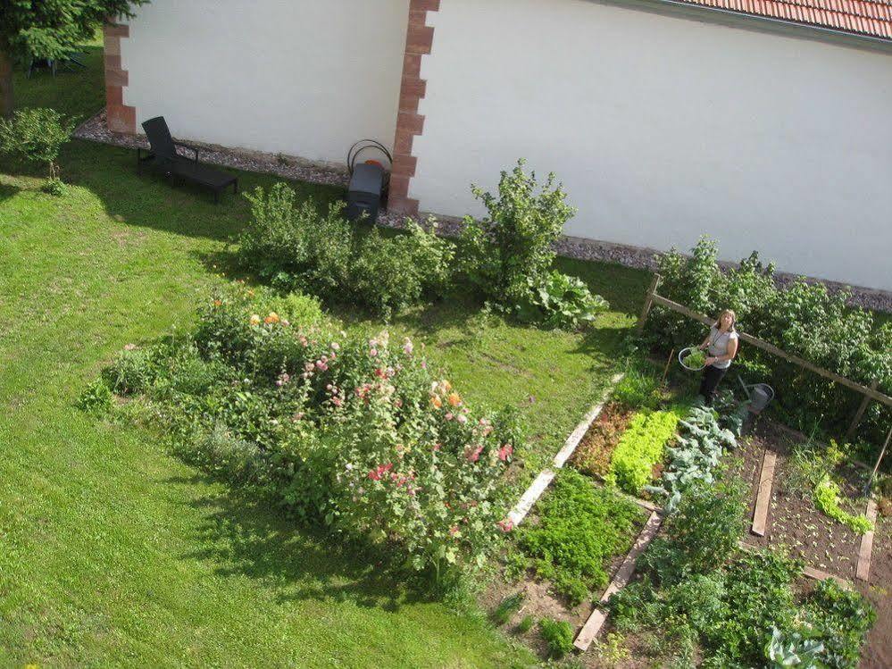 Landhotel Zur Gruenen Kutte Bernshausen Dış mekan fotoğraf